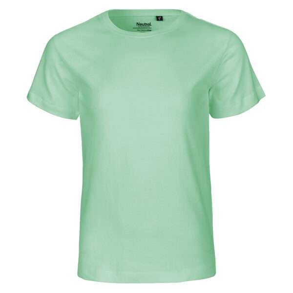 Hellgrünes unifarbenes T-Shirt mit Rundhalsausschnitt und kurzen Ärmeln