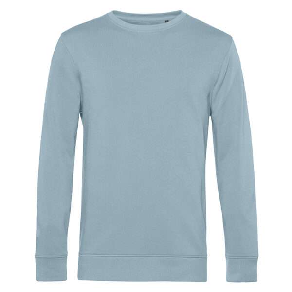 Hellblaues langärmeliges Sweatshirt mit Rundhalsausschnitt, Frontansicht