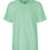Dusty Mint
